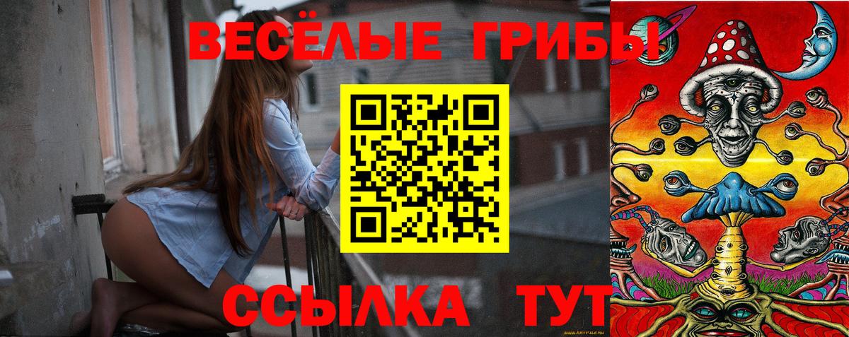 Псилоцибиновые грибы GOLDEN TEACHER  Вход с VPN  Курчатов 