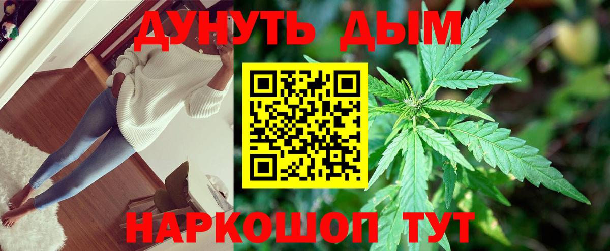 Курчатов  Шишки марихуана LSD WEED  Конопля семена  Вход с VPN  Каннабис конопля  Марихуана VHQ 